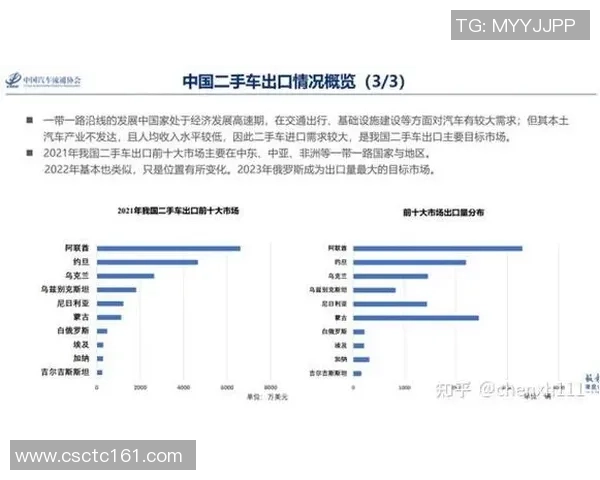 上海篮球队选拔赛点评团队协作表现分析与未来发展展望